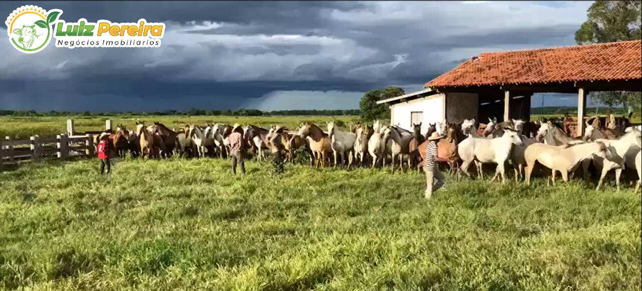 Terreno à venda, 88000m² - Foto 7